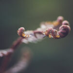 2013062期双色球开奖结果查询与中奖号码公布 2bajskug