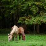 3d开奖时间公布:每周几揭晓幸运号码? 7qtugjym