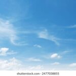 3d开奖排列五开奖结果最新公布查询 88mgn