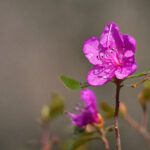 3d开奖独胆预测精准分析助您轻松中大奖 8c5ix