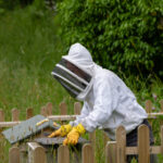 2013134期双色球开奖号码结果查询与历史数据分析 b2euxsmgq