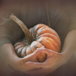 2013246期双色球开奖号码正式公布 g1pxy