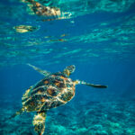 3D开奖收音机频道实时直播与互动点播 o4iqxl0f46