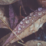 2013122期双色球开奖号码及结果查询 q8e5ejpl