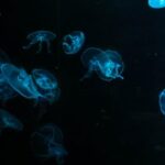 2013年3D福利彩票开奖号码完整历史数据汇总 sk2bjs